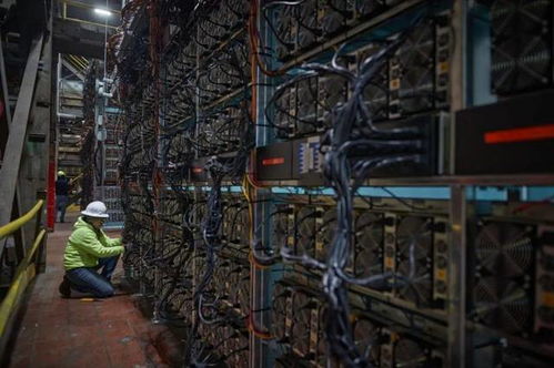 A vibrant mining farm showcasing multiple rigs