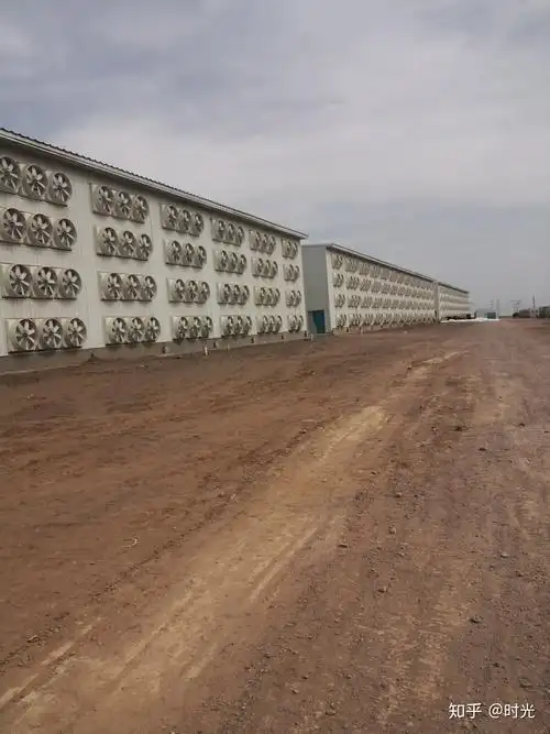 Vast cryptocurrency mining farm equipped with dozens of mining rigs