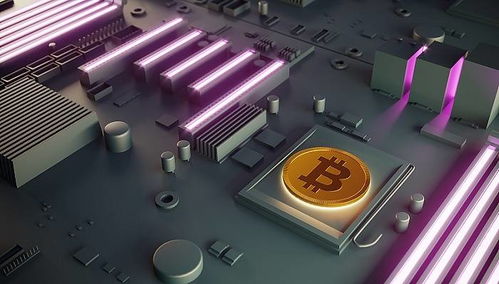 Bitcoin mining rig operating in a professional hosting facility